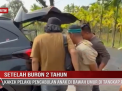 SETELAH BURON 2 TAHUN, KAKEK PELAKU PENCABULAN ANAK DI BAWAH UMUR DI TANGKAP POLISI