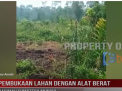 PEMBUKAAN LAHAN DENGAN ALAT BERAT HARIMAU SUMATERA MUNCUL