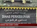 HARGA TBS SAWIT JAMBI MENGALAMI KENAIKAN