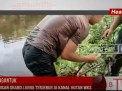SOPIR NGANTUK,MOBIL NISAN GRAND LIVINA TERJEBUR DI KANAL HUTAN WKS