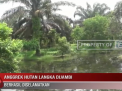 ANGGREK HUTAN LANGKA DIJAMBI BERHASIL DISELAMATKAN