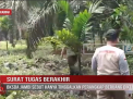 SURAT TUGAS BERAKHIR,BKSDA JAMBI SEBUT HANYA TINGGALKAN PERANGKAP BERUANG DIKEBUN WARGA