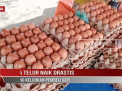 HARGA TELUR NAIK DRASTIS, PEDAGANG KELUHKAN PEMBELI SEPI