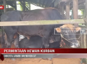PERMINTAAN HEWAN KURBAN DIKOTA JAMBI MENINGKAT
