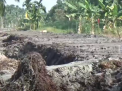 DANDIM 0419 TANJAB CEK PEKERJAAN FISIK TMMD KE 118 DI DESA SUNGAI TAWAR