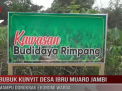 BUBUK KUNYIT DESA IBRU MUARO JAMBI MAMPU DONGKRAK EKONOMI WARGA