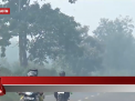 AKIBAT KABUT ASAP, BPBD TANJAB TIMUR BAGI BAGI MASKER KEPADA MASYARAKAT