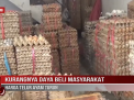 KURANGNYA DAYA BELI MASYARAKAT, HARGA TELUR AYAM TURUN