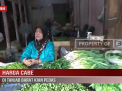 HARGA CABE DI TANJAB BARAT KIAN PEDAS