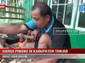 HARGA PINANG DI KABUPATEN TANJAB BARAT KIAN ANJLOK