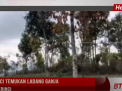 POLRES KERINCI TEMUKAN LADANG GANJA DI KAYU ARO KERINCI