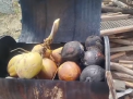 MUSIM KEMARAU, PENJUALAN KELAPA BAKAR DI SUNGAI PENUH NAIK DUA KALI LIPAT