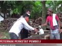 PETERNAK PERKETAT PEMBELI HEWAN KURBAN