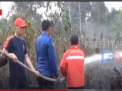 KEBAKARAN HUTAN DAN LAHAN MASIH TERJADI DI SAROLANGUN