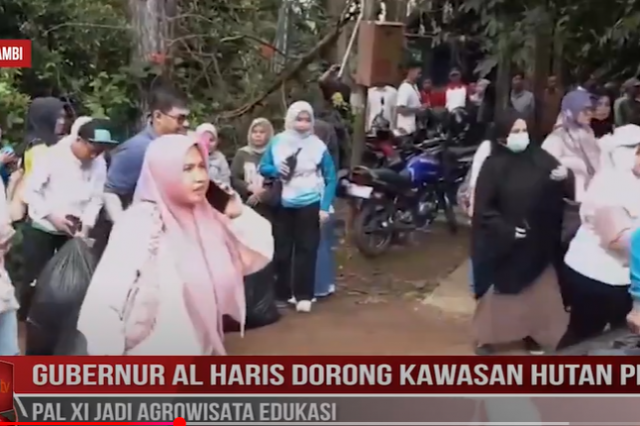 GUBERNUR AL HARIS DORONG KAWASAN HUTAN PINUS PAL XI JADI AGROWISATA EDUKASI