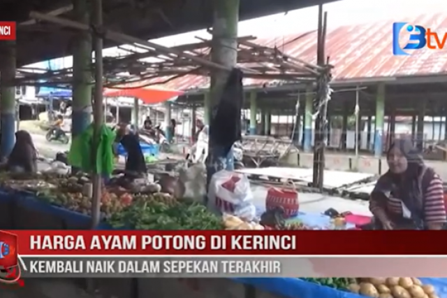 HARGA AYAM POTONG DI KERINCI KEMBALI NAIK DALAM SEPEKAN TERAKHIR