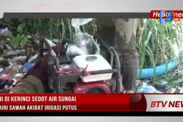 PETANI DI KERINCI SEDOT AIR SUNGAI MENGAIRI SAWAH AKIBAT IRIGASI PUTUS