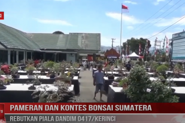 PAMERAN DAN KONTES BONSAI SUMATERA, REBUTKAN PIALA DANDIM 0417/KERINCI