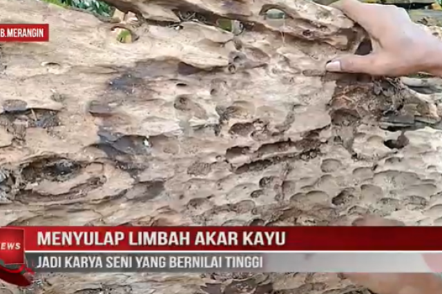 MENYULAP LIMBAH AKAR KAYU JADI KARYA SENI YANG BERNILAI TINGGI
