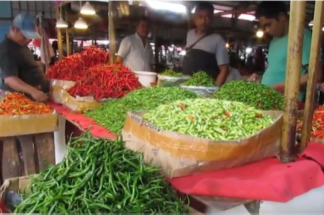 HARGA CABAI RAWIT DI JAMBI TEMBUS RP50 RIBU PER KILOGRAM