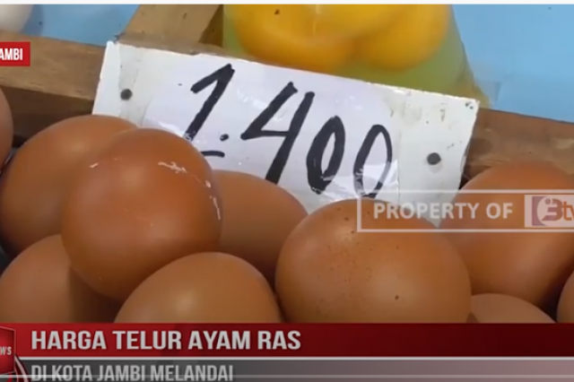HARGA TELUR AYAM RAS DI KOTA JAMBI MELANDAI