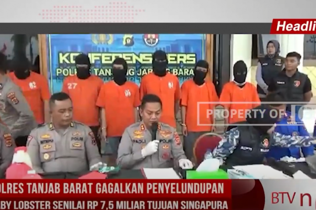 POLRES TANJAB BARAT GAGALKAN PENYELUNDUPAN BABY LOBSTER SENILAI Rp 7,5 MILIAR TUJUAN SINGAPURA