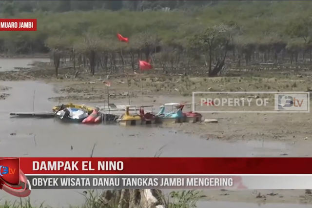 DAMPAK EL NINO, OBYEK WISATA DANAU TANGKAS JAMBI MENGERING