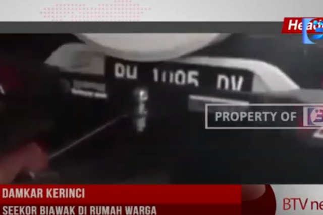PETUGAS DAMKAR KERINCI EVAKUASI SEEKOR BIAWAK DI RUMAH WARGA