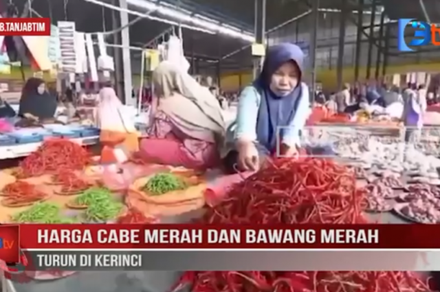 HARGA CABE MERAH DAN BAWANG MERAH TURUN DI KERINCI