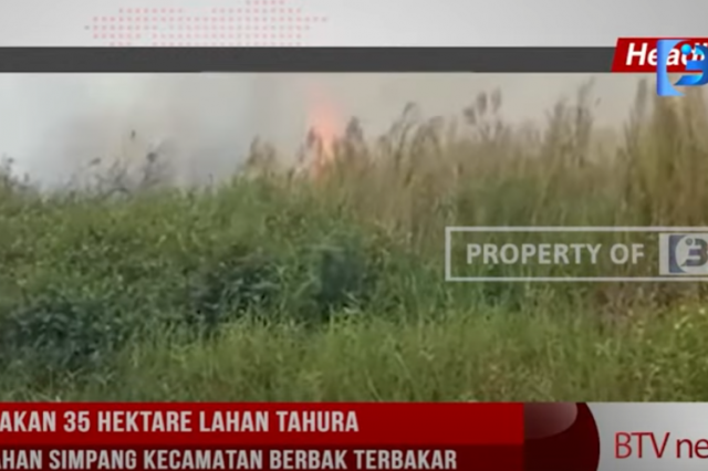 DIPERKIRAKAN 35 HEKTARE LAHAN TAHURA DI KELURAHAN SIMPANG KECAMATAN BERBAK TERBAKAR