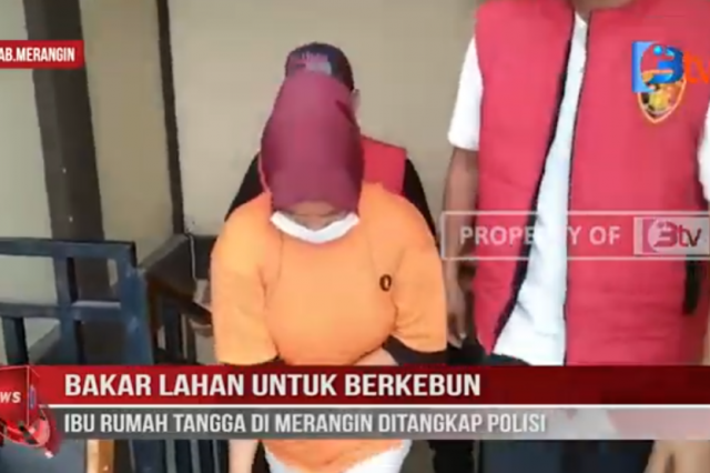 BAKAR LAHAN UNTUK BERKEBUN IBU RUMAH TANGGA DI MERANGIN DITANGKAP POLISI