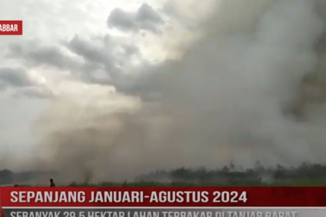 SEPANJANG JANUARI AGUSTUS 2024, SEBANYAK 29,5 HEKTAR LAHAN TERBAKAR DI TANJAB BARAT