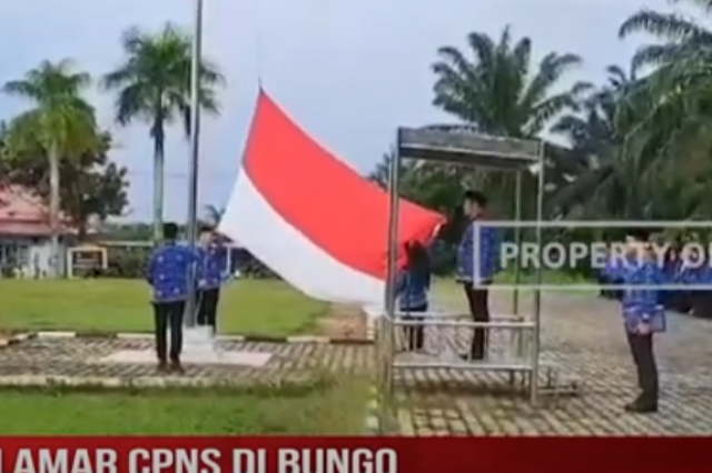 PELAMAR CPNS DI BUNGO MENCAPAI 1342 ORANG