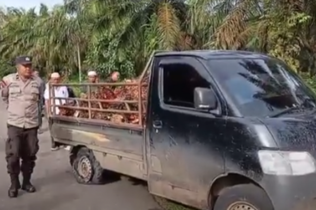 DIDUGA BAWA BUAH SAWIT CURIAN, SOPIR KABUR TINGGALKAN MOBIL DI TEPI JALAN