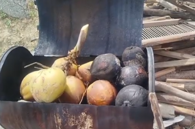 MUSIM KEMARAU, PENJUALAN KELAPA BAKAR DI SUNGAI PENUH NAIK DUA KALI LIPAT