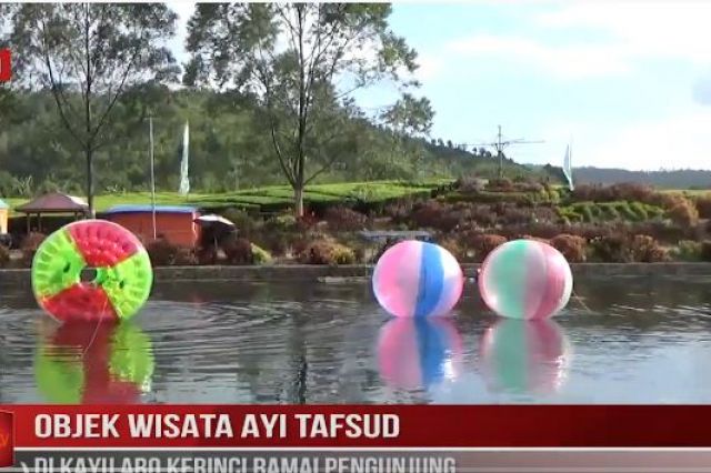 OBJEK WISATA AYI TAFSUD DI KAYU ARO KERINCI RAMAI PENGUNJUNG