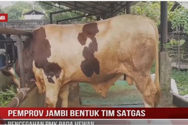PEMPROV JAMBI BENTUK TIM SATGAS PENCEGAHAN PMK PADA HEWAN