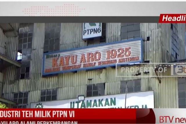 INDUSTRI TEH MILIK PTPN VI KAYU ARO ALAMI PERKEMBANGAN